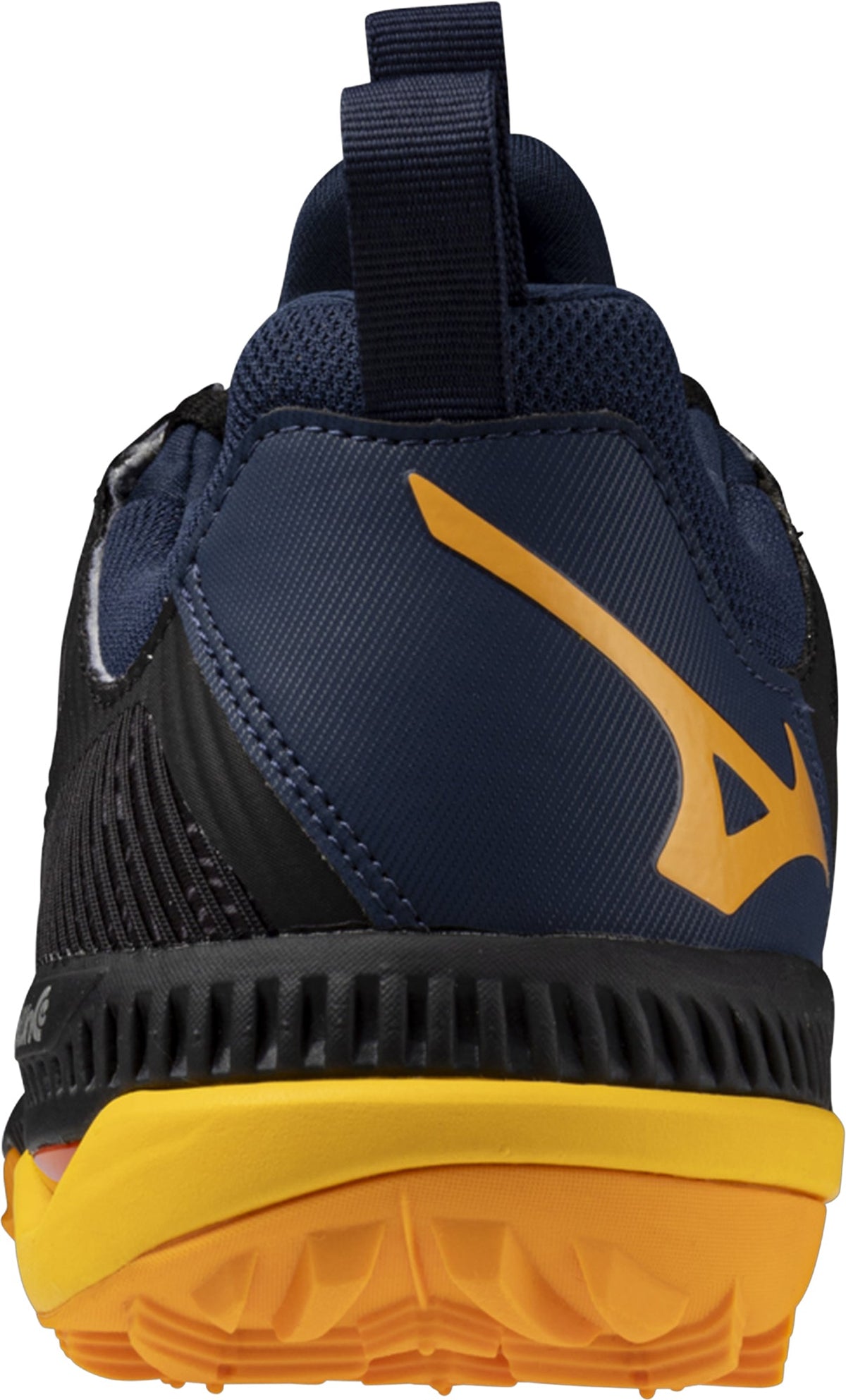 Mizuno Wave Panthera 2 Hockey Shoes - Black | Training & Fitness