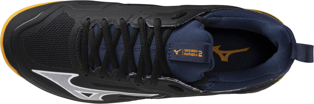 Mizuno Wave Panthera 2 Hockey Shoes - Black | Training & Fitness