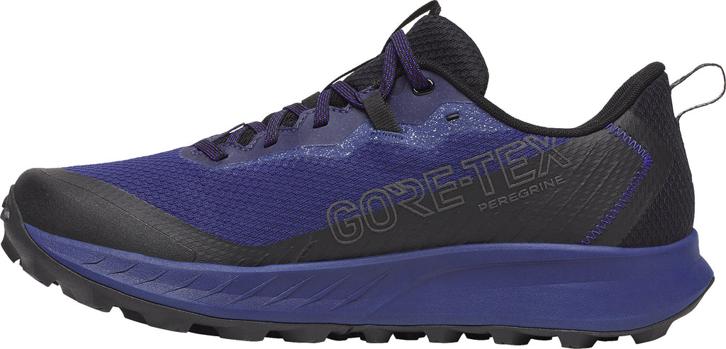 Saucony Peregrine 15 GORE-TEX Men's Trail Running Shoes - Blue | Trail Running