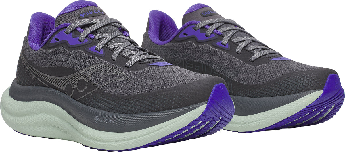 Saucony Triumph 23 GORE-TEX Women's Running Shoes - Grey | Running & Training