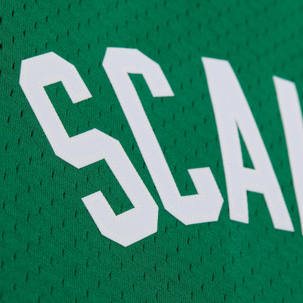 Boston Celtics Mitchell & Ness Swingman Jersey - Brian Scalabrine - Men's